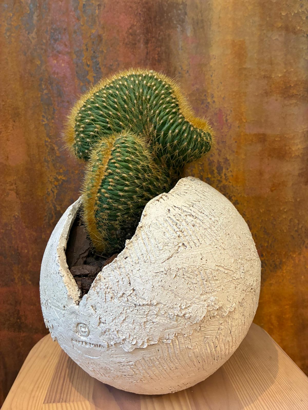 Vaso Bianco Artemia